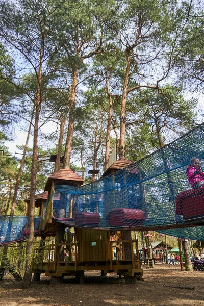 Tiro Vertical Equipamento Com Rede Segurança Árvores Parque Escalada Pyrland — Fotografia de Stock