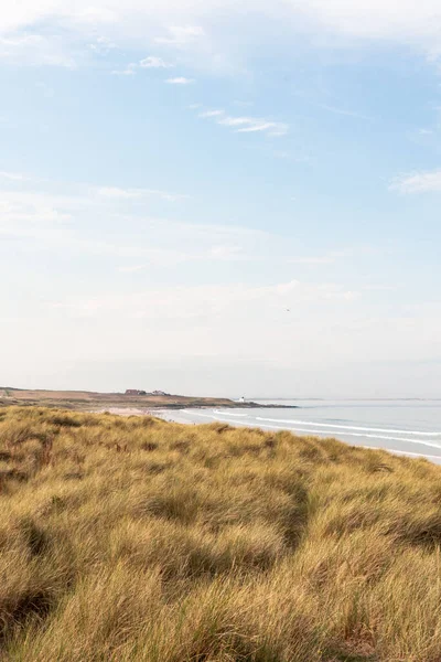 Bamburgh, Northumberland, İngiltere 'deki mavi gökyüzü arka planındaki çimenli kumulların dikey görüntüsü