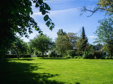 Güneşli bir günde güzel bir ormanın alçak açılı görüntüsü.