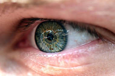 Açık yeşil gözlü bir insanın yakın plan portresi.