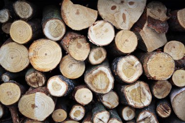 Kesik ahşap, kahverengi ve sarı renklerden yapılmış desen, bütün çerçeve ağaç kesimleriyle dolu. Şömine için odun, ocak..