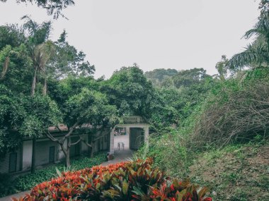 Ağaçlarla çevrili tatil köyünün güzel bir manzarası.