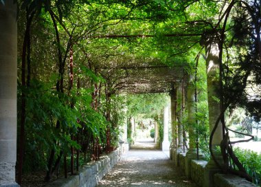 Güneşli bir günde güzel bir koridorda yürüdük.