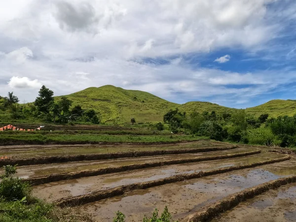 Una Fattoria Verde Con Scale Cascata Ubay Bohol — Foto Stock