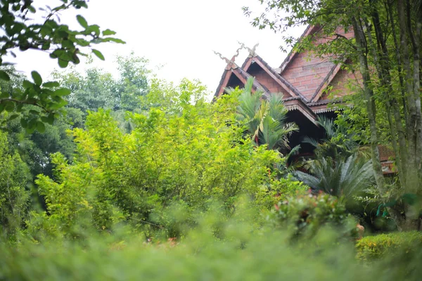 Beau Jardin Verdoyant Une Maison Bois — Photo