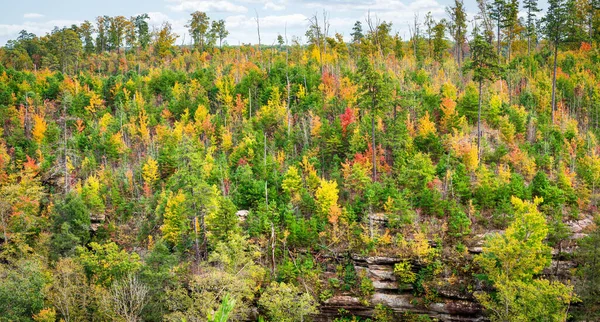 Uma Vista Panorâmica Colinas Rochosas Cobertas Com Florestas Verdes Amarelas — Fotografia de Stock