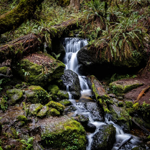 森林里流淌着美丽瀑布的特写镜头 — 图库照片