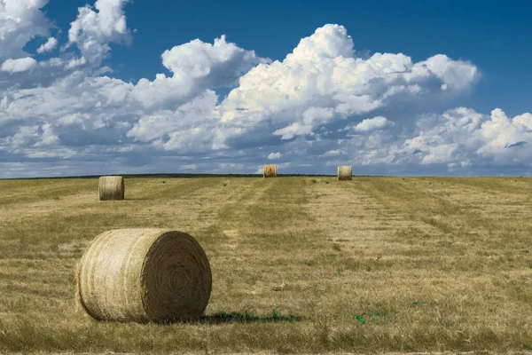 Beautiful Shot Haystacks Field Sunny Day Cloudy Sky — Stock Photo, Image