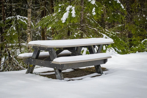 Snow Covered Picnic Bench Forest Mount Rainier Washington State — Stock Photo, Image