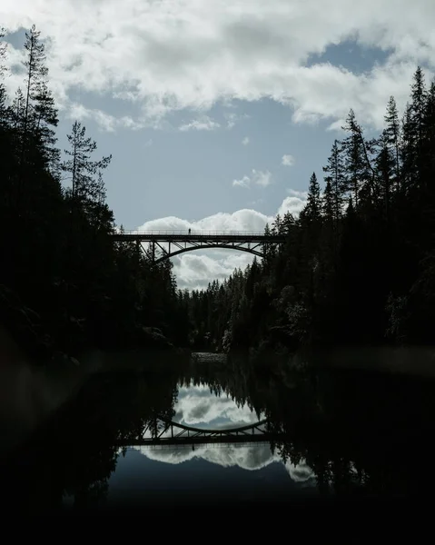 Colpo Verticale Del Ponte Riflesso Sul Fiume — Foto Stock