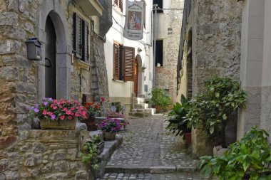 Lazio bölgesindeki bir ortaçağ köyü olan Lenola 'nın eski evleri arasında dar bir sokak..