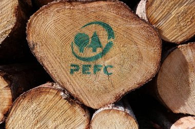 Almanya 'nın Wehrheim kentindeki bir ormanda yeşil bir PEFC-Logo ile kahverengi bir kütüğün yakın çekimi.