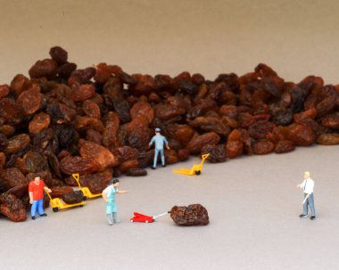 Kırmızı yapraklı haşhaş kafanın makro görüntüsü.