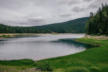 Karadağ 'ın kırsal kesimlerinde kasvetli bir yaz günü. Göl yemyeşil.