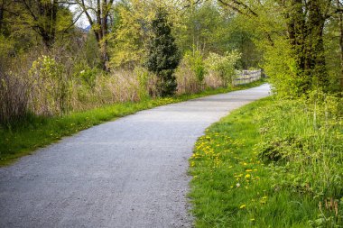 Yeşilliklerle çevrili güzel bir yol manzarası