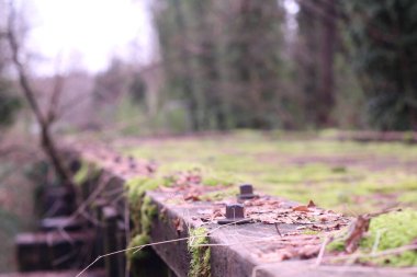 Bulanık bir arkaplanda ormanda büyü cıvataları olan eski bir antik köprüye yakın plan.