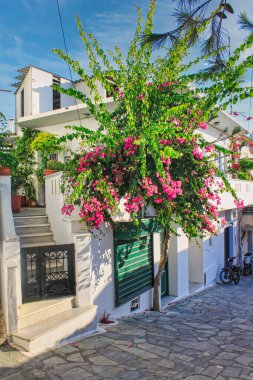 Yunanistan 'ın Naxos kentinde beyaz bir evin yakınındaki çiçek açan pembe bir ağacın dikey görüntüsü