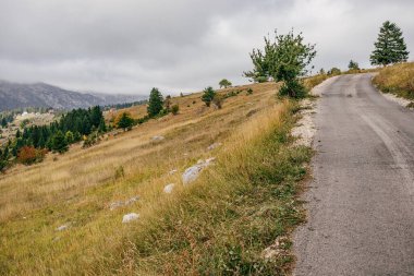 Yamaçtaki yol yeşil ağaçlar ve sarımsı otlarla kaplıydı. Karadağ 'da yürüyüş.