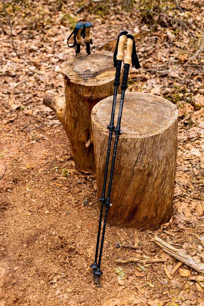 Dois Pares Postes Trekking Caminhadas Apoiados Alguma Madeira — Fotografia de Stock