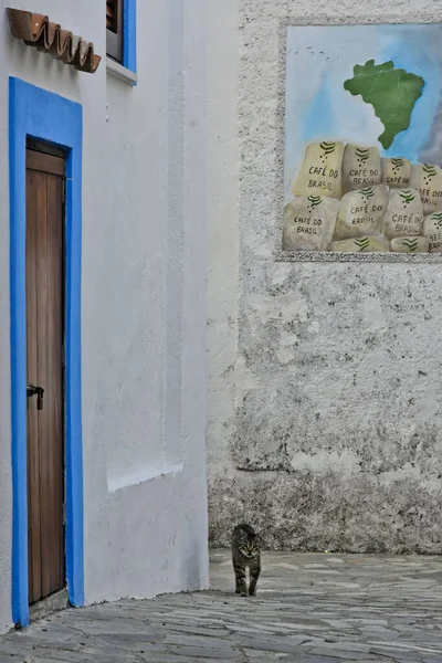 Cat Walking Narrow Street Murals Paint Village Calabria Region — Stock Photo, Image