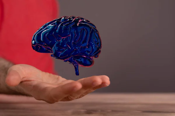 Una Persona Que Presenta Renderizado Del Cerebro Humano Pruebas Concepto —  Fotos de Stock