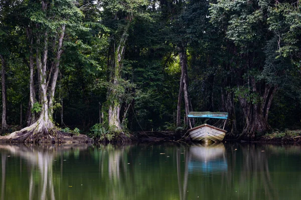 Breathtaking View Abandoned Fishing Boat Shore Surrounded Lush Green Trees — Stock Photo, Image