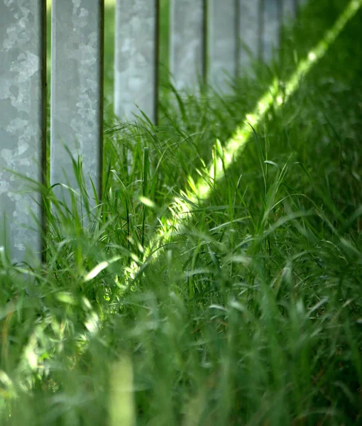 Feixe Luz Grama Perto Postos Parque Painel Solar — Fotografia de Stock