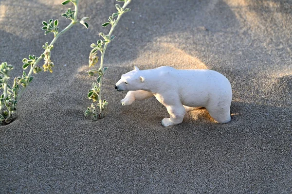 Πλαστική Πολική Αρκούδα Ξυπνάει Στην Παραλία — Φωτογραφία Αρχείου