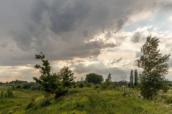曇り空に緑の植物や木々が生い茂る息をのむような田園風景背景 — ストック写真