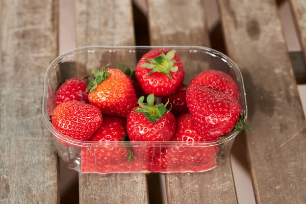 Primer Plano Fresas Rojas Deliciosas Una Pequeña Bandeja Plástico Transparente —  Fotos de Stock