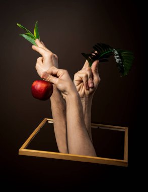 Kahverengi bir arka planda, ahşap bir çerçeveden çıkan üç elli bir sanat eseri ve elma.