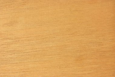 Sedir ağacı taneciklerinin temsilcisi.