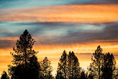 Yüksek yeşil ağaçlarla dolu sık ormanın üzerinde manzaralı bir günbatımı.