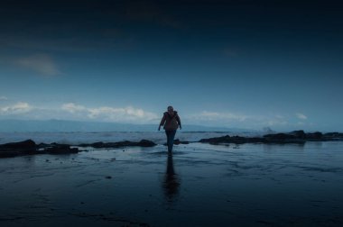 Bulutlu bir günde kumsalda yürüyen ve bulutlu gökyüzüne karşı yere yansıyan bir dişinin arka planı.