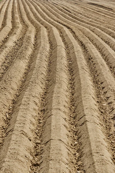 Ploughed Field Geilenkirchen Germany Farm Scenery — Stock Photo, Image