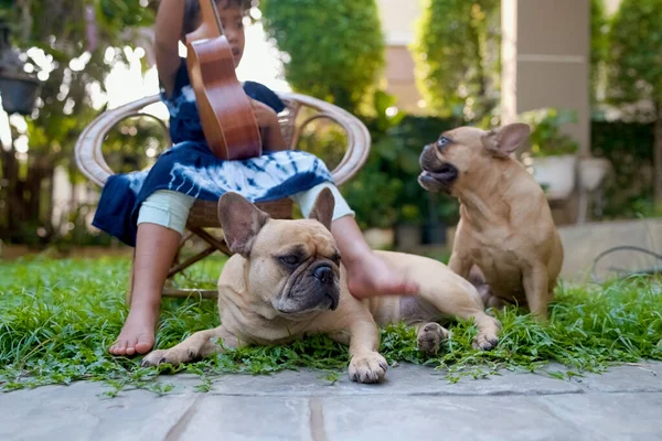 Couple French Bulldogs Kid Backyard Playing Ukulele — Stock Photo, Image