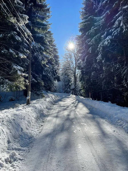 Κάθετη Λήψη Χιονισμένου Δρόμου Στο Πάρκο — Φωτογραφία Αρχείου
