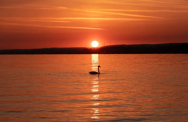 Een Landschap Met Een Prachtige Zonsondergang Het Meer Behang Natuur — Stockfoto