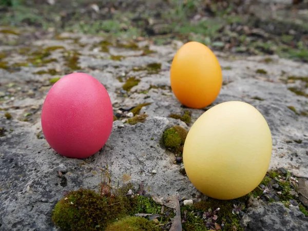 Drie Gekleurde Paaseieren Een Steen — Stockfoto