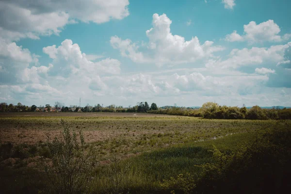 Krásná Krajina Zelené Louce — Stock fotografie