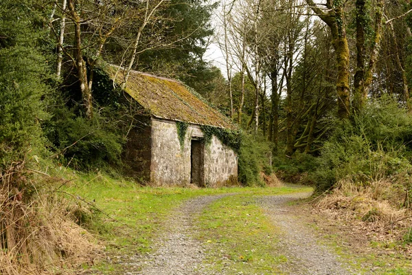 Ancien Bâtiment Ruine Abandonné Sur Bord Route Printemps — Photo