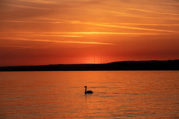 Beau Crépuscule Sur Lac Coucher Soleil Lever Soleil — Photo