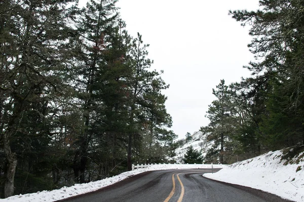 Прекрасный Вид Снежную Дорогу Деревьями Холодный Зимний День — стоковое фото