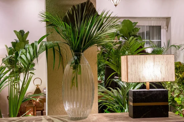 A palm tree in a glass vase near a lamp in an apartment