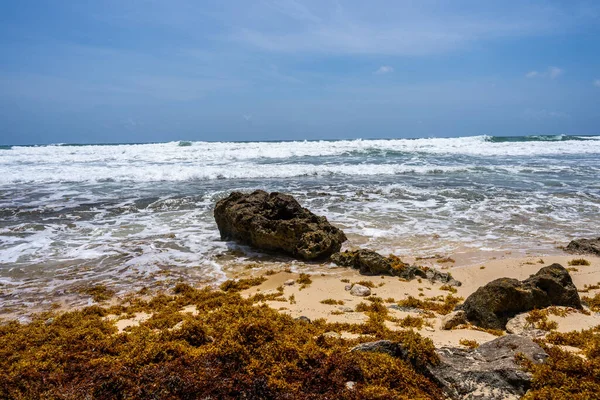 Волнистое Море Мхом Пляже Голубым Облачным Небом — стоковое фото