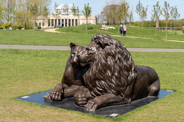 Outdoor Visitor Attraction Lion Sculptures Born Free Forever Charity Born — Stock Photo, Image
