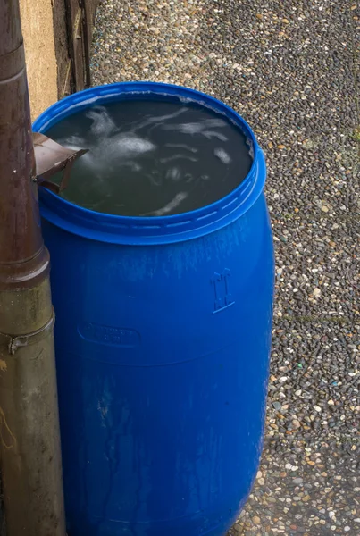 Rainwater stored in a plastic barrel
