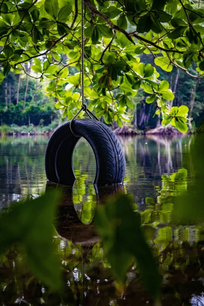 Vertical Breathtaking View Tire Swing Partially Submerged Lake — Stock Photo, Image