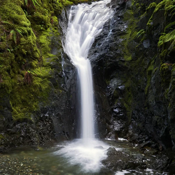 Güzel yeşil yosunlarla çevrili siyah bir uçurumdan akan parlak beyaz bir şelale..
