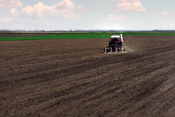 Tractor Agrícola Con Sembradora Semilla Maíz Siembra Campo — Foto de Stock